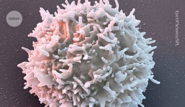 CAR-T therapies send autoimmune diseases into remission