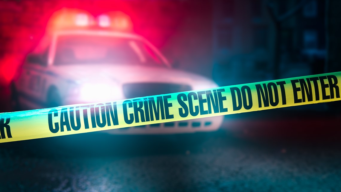 Two people shot during attempted robbery in Dallas, police say