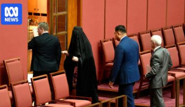 Federal politics live: Pauline Hanson slammed for 'headline-grabbing' burka stunt