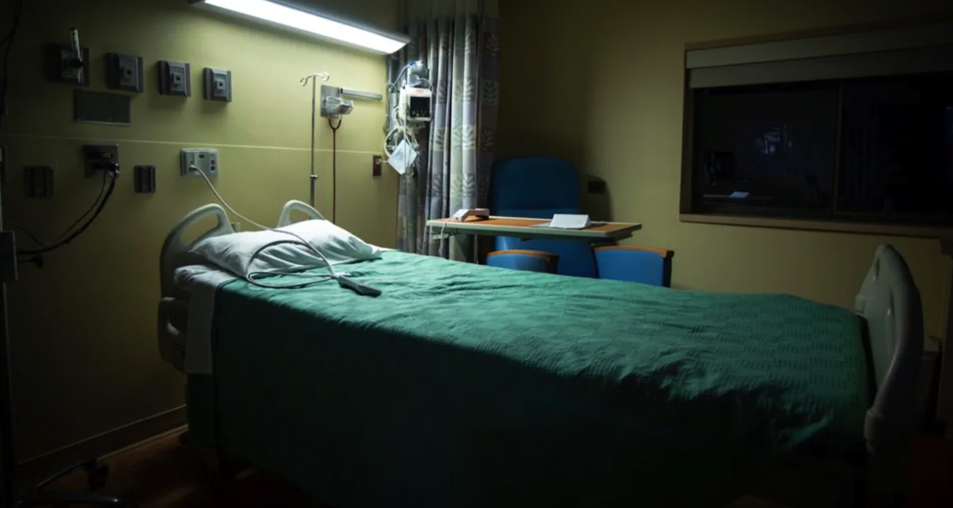 Researchers found that the rising temperature of the Earth is massively increasing cases of dengue fever.