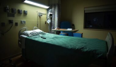 Researchers found that the rising temperature of the Earth is massively increasing cases of dengue fever.