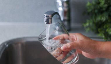 New Research Shatters Common Claim About Fluoride and Intelligence