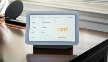 Google says its confusing Gemini Home rollout is going just great