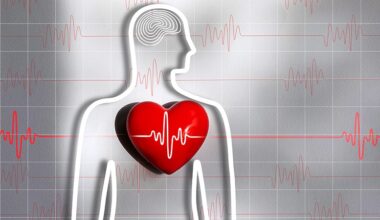 photo of A red heart and a ecg line wave