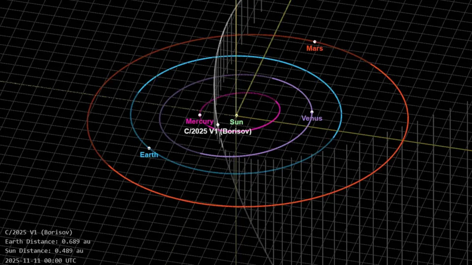  An orbital diagram showing the new comet C/2025 V1 (Borisov) at its closest point to Earth on Tuesday (Nov. 11). 