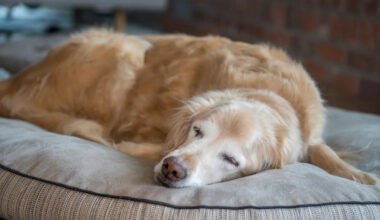 Yahoo lifestyle home