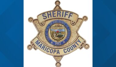 Horse euthanized after being hit by vehicle, rider uninjured