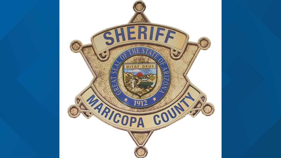 Horse euthanized after being hit by vehicle, rider uninjured