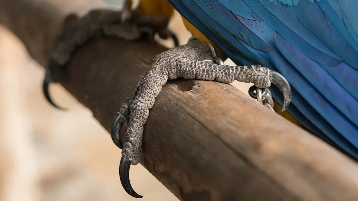 Yahoo lifestyle home