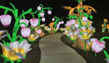 Illuminate returns with new glow as San Antonio Botanical Garden teases brighter show