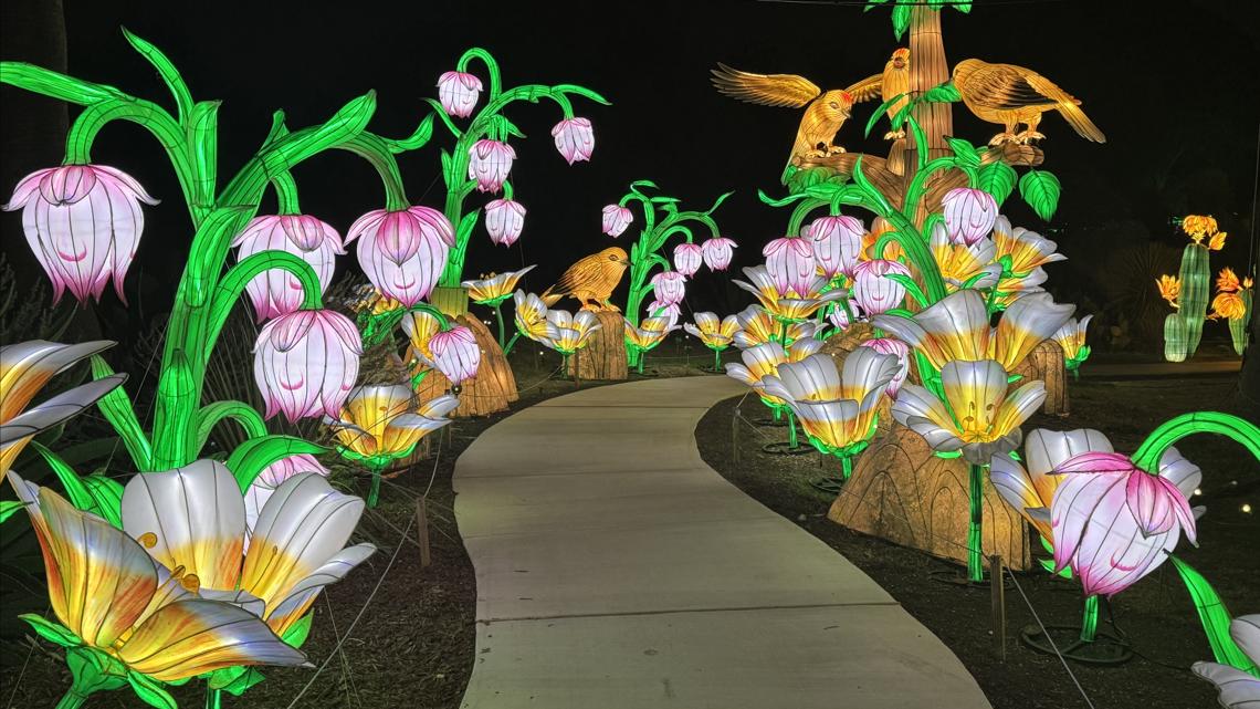 Illuminate returns with new glow as San Antonio Botanical Garden teases brighter show