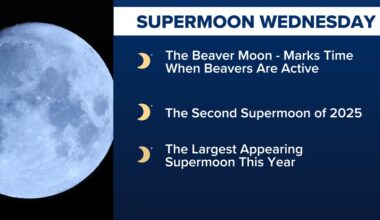 Will you be able to see the Super Beaver Moon in Houston this week? Here's when to look up
