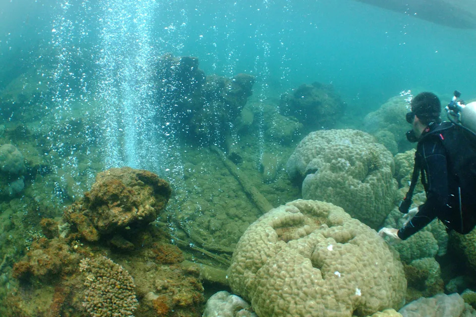A diver looking at Bubbles seepling up at Milne Bay.