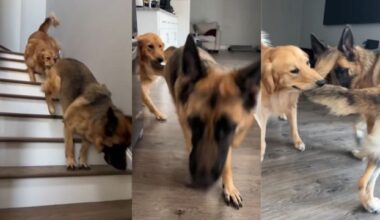 Yahoo lifestyle home