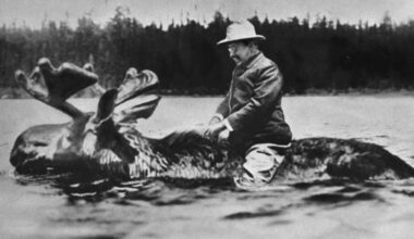 A man in a suit and hat appears to be riding a large moose through a body of water, with trees visible in the background. The image is in black and white.
