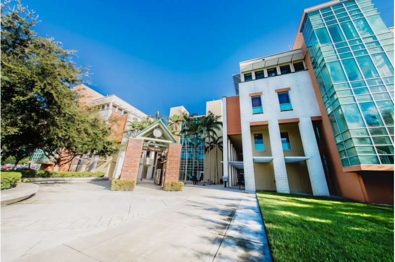 FAU study finds small group counseling helps children thrive at school