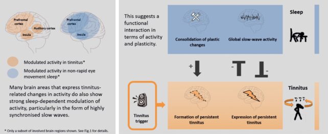 Graphical abstract of the study's findings on tinnitus and sleep