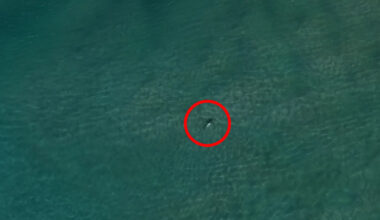 Small detail in drone photo off Aussie island sparks incredible response