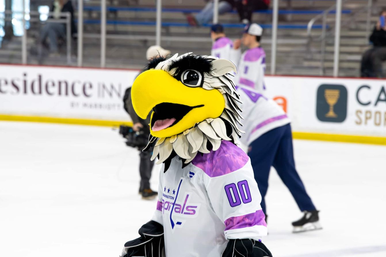 Slapshot on the ice during the Hockey Fights Cancer skate.