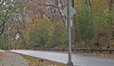 Freedom Drive in Forest Park may once again be opening to cars – QNS