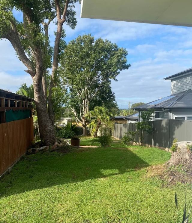 One Reddit user showed how they transformed their boring lawn into a vibrant native plant garden — saving money and water in the process.