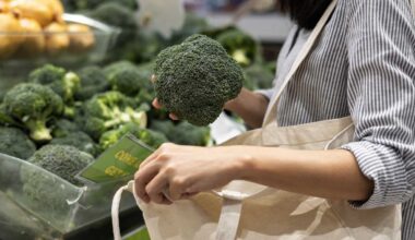 Philadelphia council passes 10-cent paper bag fee; Mayor seeks low-income protections