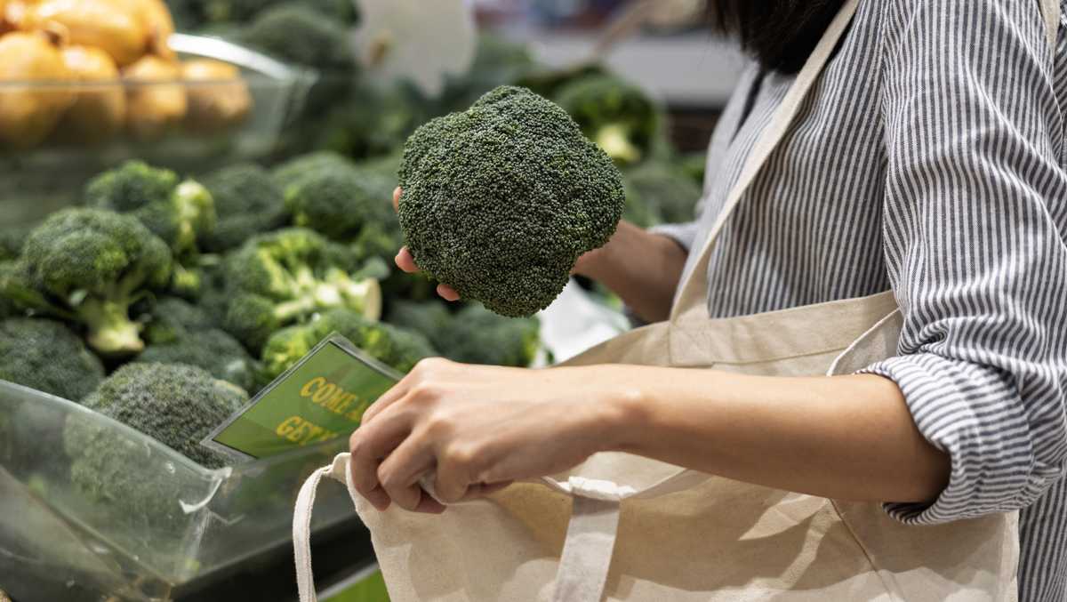 Philadelphia council passes 10-cent paper bag fee; Mayor seeks low-income protections