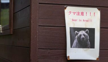 U.S. issues unusual warning to Americans in Japan: Beware of bear attacks