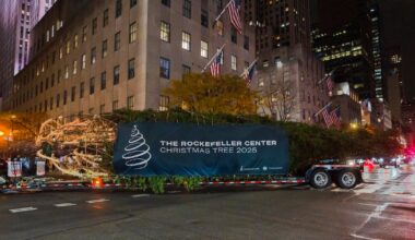 Rockefeller Center Christmas tree arrives in NYC for 2025 holidays