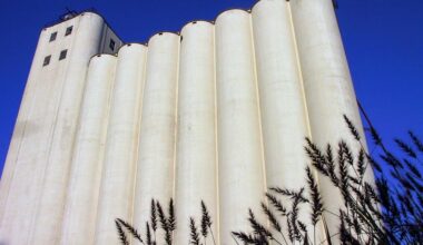 The towering white silos of a flour mill against a blue sky.