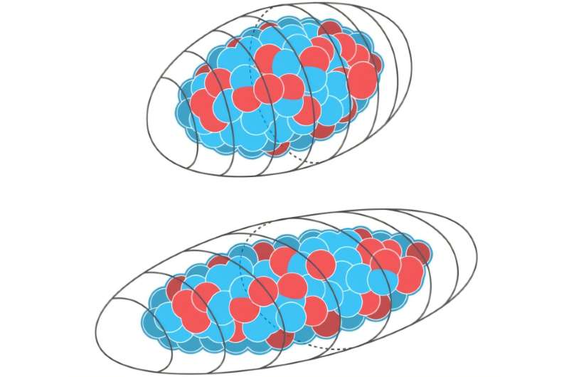 Until now, physicists thought that all heavy nuclei deformed from spheres are elongated in one direction like rugby balls (top), but RIKEN researchers have shown that virtually all of such nuclei have triaxial symmetry with oval cross-sections like almonds (bottom). Credit: RIKEN Nishina Center for Accelerator-Based Science Heavy atomic nuclei are not as symmetric as previously thought
