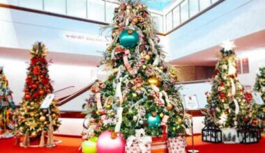 Houston unveils 11 holiday villages for City Lights 2025