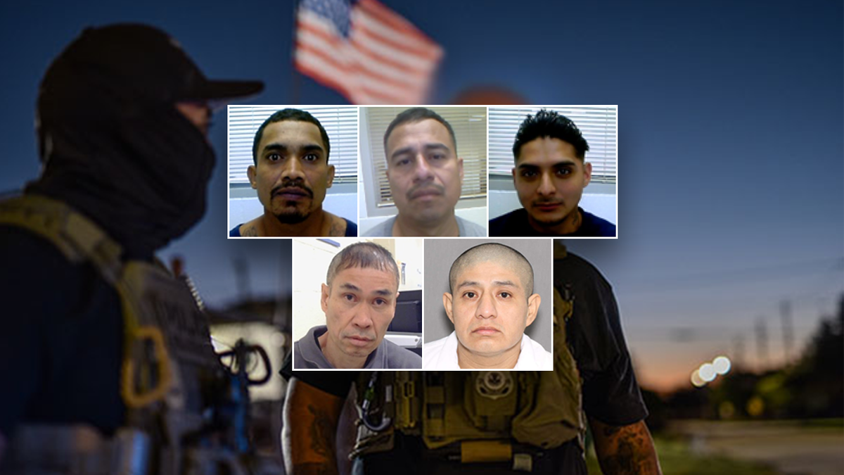 Criminal illegal alien mugshots from October Houston ICE operation