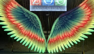 Colors of the Wild returns to Jacksonville Zoo and Botanical Gardens – 104.5 WOKV