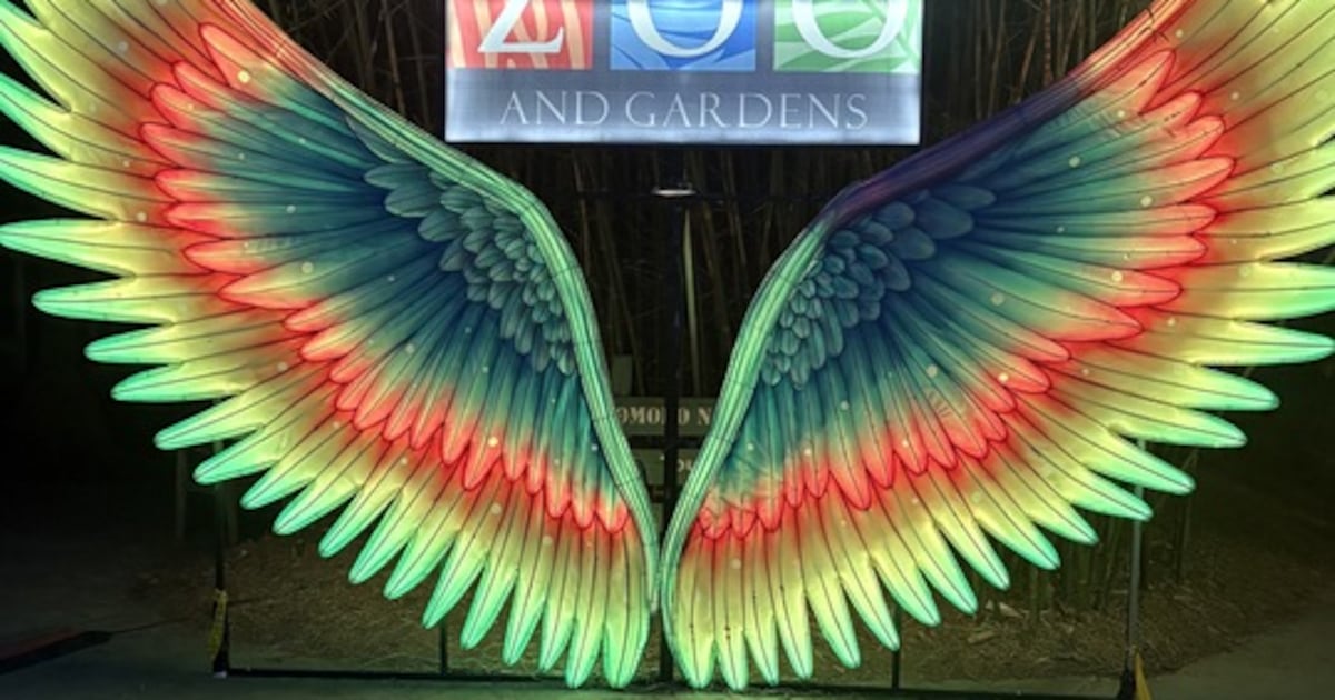 Colors of the Wild returns to Jacksonville Zoo and Botanical Gardens – 104.5 WOKV