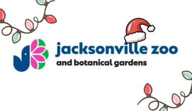 Jacksonville Zoo welcomes Santa for Colors of the Wild holiday kickoff – Action News Jax