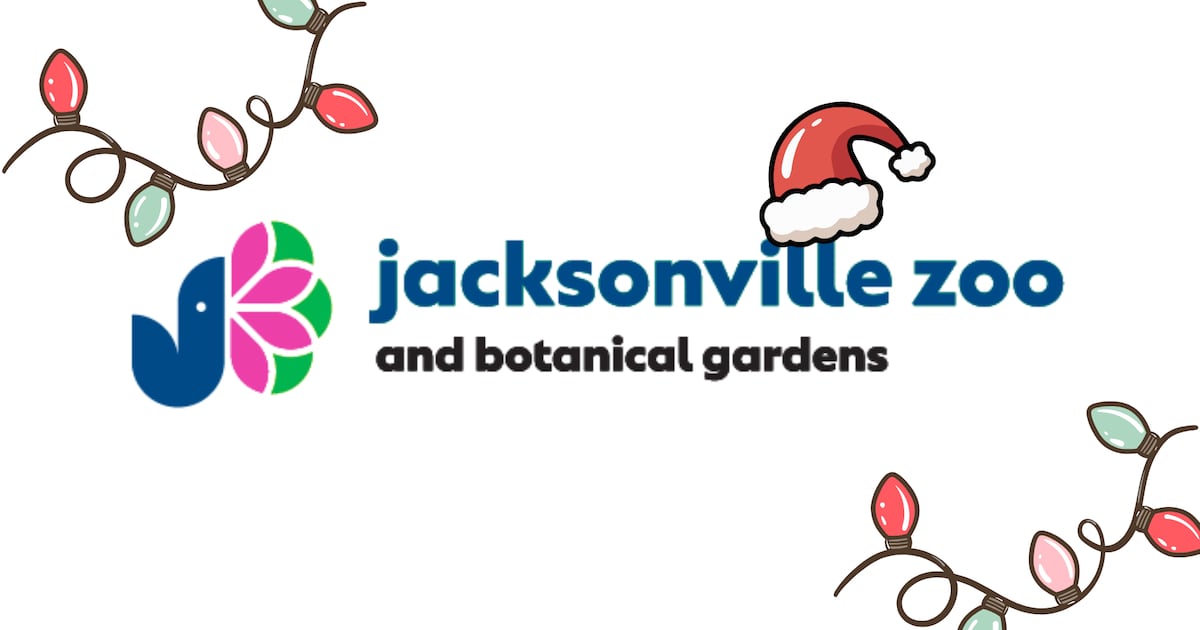Jacksonville Zoo welcomes Santa for Colors of the Wild holiday kickoff – Action News Jax