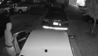 Detectives seek help identifying car break-in suspects in Oakleaf Plantation – Action News Jax