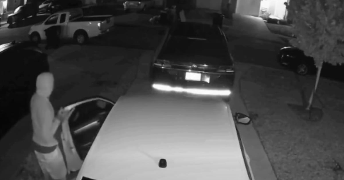Detectives seek help identifying car break-in suspects in Oakleaf Plantation – Action News Jax