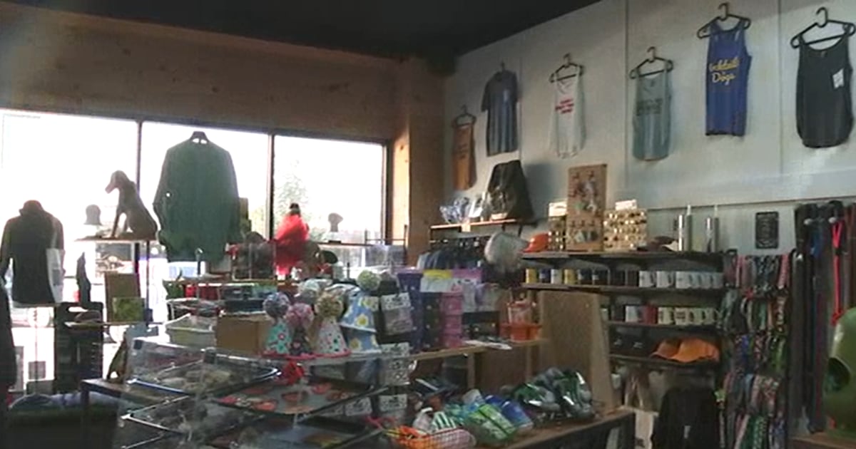 Local businesses prepare for ‘Small Business Saturday’ – Action News Jax