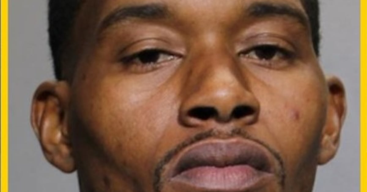 Convicted felon caught with drugs, guns in Holiday Hill, JSO says – Action News Jax