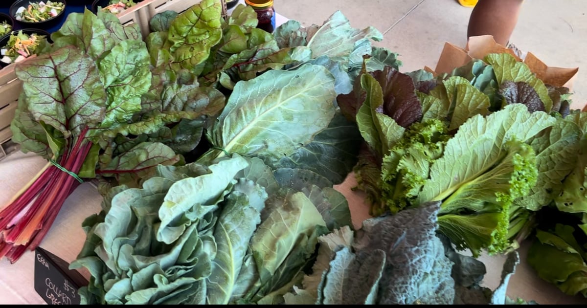 Jacksonville Collard Green Festival returns – 104.5 WOKV