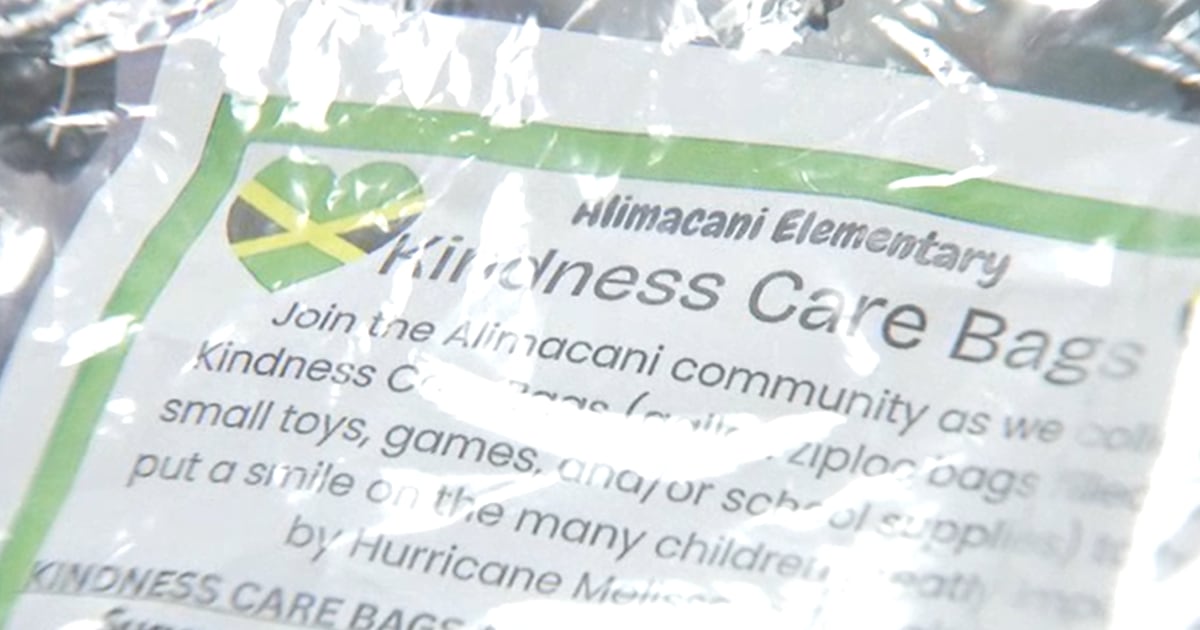 Duval elementary school packs donations to send to kids impacted in Jamaica – Action News Jax
