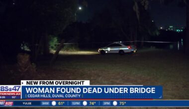 Woman’s body found under bridge on Jacksonville’s Westside – Action News Jax