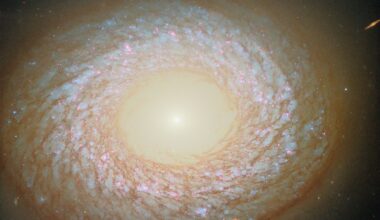 A galaxy seen face-on, with a slightly elliptical disk that appears to have a hole in the center like a doughnut. In the hole, the core is a brightly glowing point that shines light out beyond the edge of the disk. Around the hole is an inner ring of dust, and at the galaxy’s edge is a thicker outer ring of dust, with a swirling web of dust strands in between. Blue stars and red nebulae are visible behind the dust.