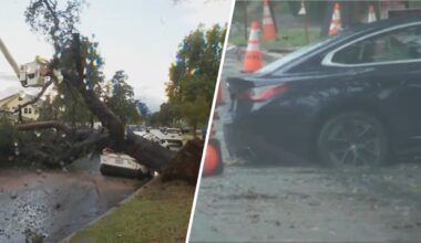 Rainfall triggers downed tree, sink hole in the San Gabriel Valley – NBC Los Angeles