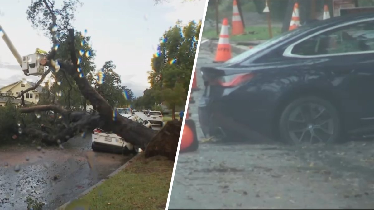 Rainfall triggers downed tree, sink hole in the San Gabriel Valley – NBC Los Angeles
