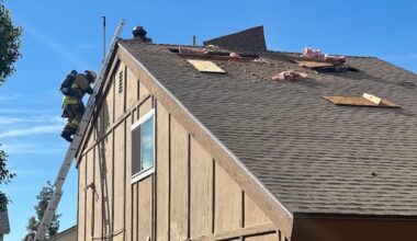 A dog perished in a house fire in north Phoenix on Wednesday morning. (Phoenix Fire Department phot...