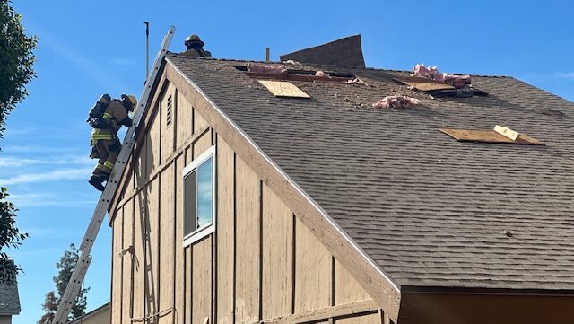 A dog perished in a house fire in north Phoenix on Wednesday morning. (Phoenix Fire Department phot...