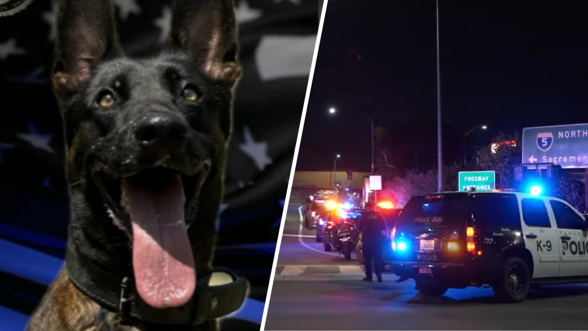 Burbank police identify man accused of fatal K-9 shooting – NBC Los Angeles